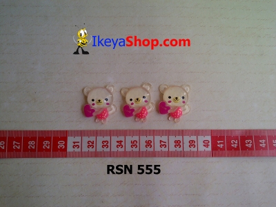 rsn 555  large2